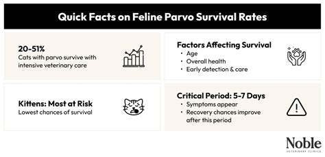 parvo meaning in tagalog|Parvo survival rates through a healthy heart.